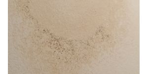 Roto-Rooter Group - Bad service on water mitigation