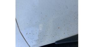 Toyota - Warranty enhancement program - peeling white paint