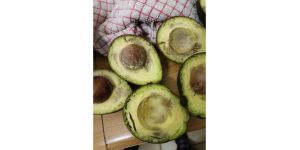 Pick n Pay - Avo's
