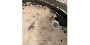 Bob Evans - Mold