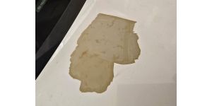KIA Motors - Paint peeling