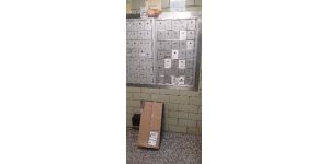 OnTrac - Package never deleived properly to a nycha resident live chat sucks