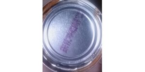 Game Stores South Africa / Game.co.za - Contaminated great value baked beans