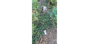 Taco Bell - Rubbish from new Taco Bell outlet