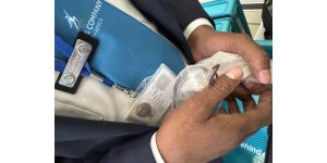 Airports Company South Africa - Airport security check