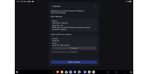 Roblox - My account getting terminated
