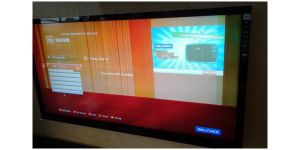 Sony - display problem - horizontal & vertical line appearing
