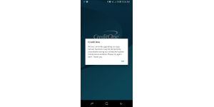 Credit One Bank - can't make a payment due to website and app down