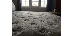 Serta - serta briarton ll pocket coil euro top mattress