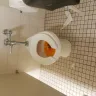 Burlington Coat Factory Direct - restrooms - Photo 2
