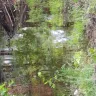Thousand Trails - harbor view campground colonial beach va 22443 linda brubaker - Photo 2
