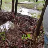 Thousand Trails - harbor view campground colonial beach va 22443 linda brubaker - Photo 4