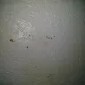 Motel 6 - room - Photo 8