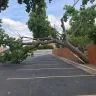 Oncor - tree and fence damage and continued line outage - Photo 1