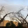 Oncor - tree and fence damage and continued line outage - Photo 4