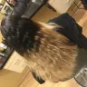 MasterCuts - hair color - Photo 3