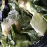 Applebee's - found plastic in my salad - Photo 1