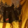 TeeChip - tee shirt - Photo 1