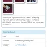 Hoobly - http://www.hoobly.com/ak8rd/merle-american-bully-puppies-ukc-and-abkc.htm - Photo 1