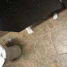 Wawa - cleanliness of restroom
