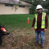 Lewis Tree Service - workers stealing fruit from my yard