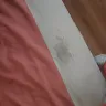 Motel 6 - unsanitary conditions and in habitable for my children - Photo 1