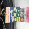 Canadian Tire - plants - Photo 2