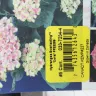 Canadian Tire - plants - Photo 3