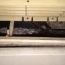 Budget Suites of America - poor maintenance and cleaning - Photo 3