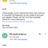 YouTube - false copyright claim - Photo 4