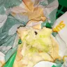 Subway - dead fly in loaf - Photo 1