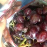 Patel Brothers - fruits - Photo 2