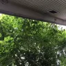 NJ Transit - urgent!, urgent!, urgent! overgrowing trees onto and damaging my property