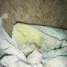 Huggies - huggies little movers - Photo 1