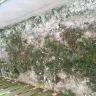TruGreen - service - Photo 2
