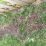 TruGreen - service - Photo 3