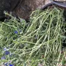Gardening Express - Awful plastic plant pots - Photo 6
