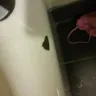 La Quinta Inns & Suites - rooms clean and maintenance needed - Photo 3