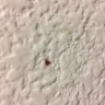 Motel 6 - health hazard - Photo 1
