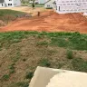 True Homes - yard/sod/dead grass/awful appearance