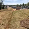 True Homes - yard/sod/dead grass/awful appearance