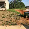 True Homes - yard/sod/dead grass/awful appearance