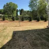 True Homes - yard/sod/dead grass/awful appearance