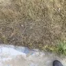 Bell - private property damage - Photo 4