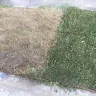 Bell - private property damage - Photo 6