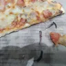 Roman's Pizza - hazardous object in our pizza and bad customer care - Photo 5