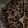 Germaine Holloway BSN - received rude profanity laced racist service, undercooked pizza with hair.. no employees wear hair nets - Photo 2