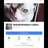 Nakedinthelakes Cattery - breeder selling sick animals