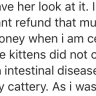 Nakedinthelakes Cattery - breeder selling sick animals