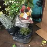 Gardening Express - Order number 600110144 - Photo 8